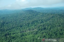 Jual-beli hutan berstatus PPKH langgar aturan