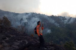 BPBD Jawa Barat: Kebakaran lahan di Kabupaten Bandung capai 226 hektare