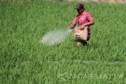 Jelang musim tanam, Petrokimia gencarkan kampanye pemupukan berimbang