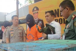 Polisi Gresik amankan 13 burung langka