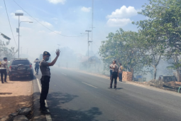 Kebakaran hutan gambut di Mesuji