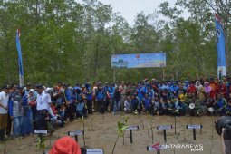 TNI dan Polri tanam mangrove di Teritip Balikpapan