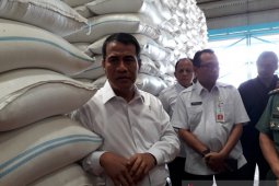 Kejar swasembada pangan, Kementan optimalisasi rawa untuk lahan pertanian