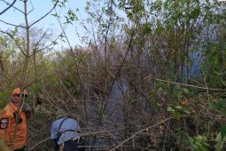 226 hektare lahan di Gunung Ciremai hangus terbakar