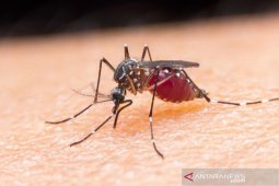 Dinkes: 876 warga Mukomuko "suspect" terserang malaria