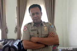 BPBD Babel akan tanam 34 jenis pohon endemik Indonesia