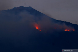 Kebakaran hutan Gunung Arjuno
