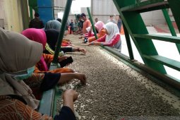 Eksportir kopi gayo mengeluh karena ditolak pembeli Eropa