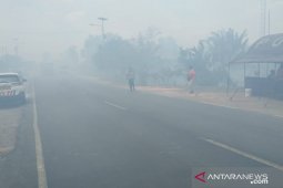 Masyarakat Mesuji  keluhkan kabut asap