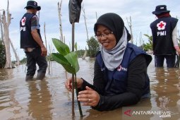 Sibat PMI untuk bangun ketangguhan berbasis ekosistem dan investasi