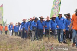Kontribusi lahan rawa terhadap produksi pangan
