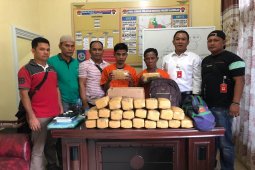Polres Langkat tangkap dua pembawa 25 kilogram ganja dari Aceh
