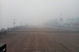 Kabut asap di Palembang paling ekstrim