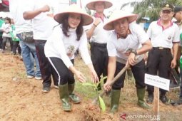 Polres Asahan tanam ribuan pohon di sepanjang  Sungai Sei Silo