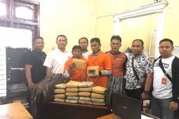 Polres Langkat kembali ringkus dua pembawa 20 kg ganja dari Aceh