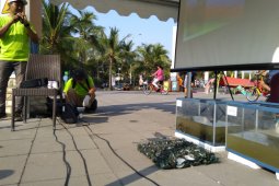 Kerang Hijau Teluk Jakarta tidak layak konsumsi