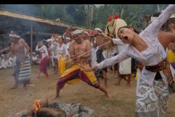 Warga Selumbung, Karangasem gelar tradisi Daratan