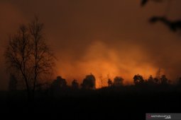 131 titik panas masih terdeteksi di Kalimantan Selatan
