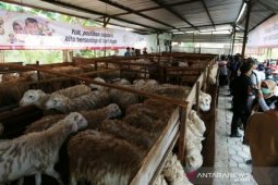 Kementan dorong ekspor embrio ternak ke Bangladesh