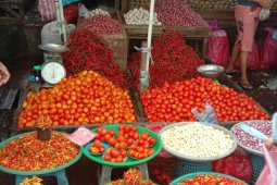 Harga bawang dan cabai di pasar Ambon bertahan
