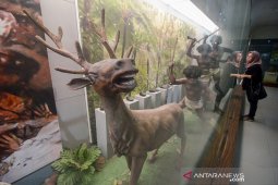 Museum Pendidikan Nasional Indonesia