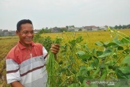 Hari Pangan Sedunia 2019,  serukan pola pangan sehat dan berkelanjutan