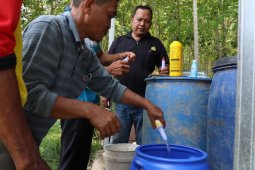 Petani  Desa Kambitin terapkan pertanian ramah lingkungan