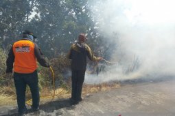Kebakaran hutan di TNBTS masih belum bisa dipadamkan