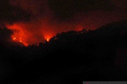 BPBD Jember bantu padamkan kebakaran hutan di Gunung Argopuro