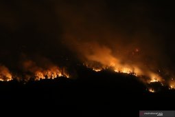Kebakaran lahan Gunung Merapi Ungup-ungup