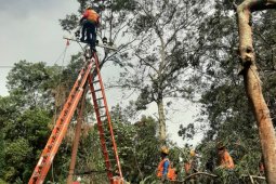 Dampak angin kencang, aliran listrik ribuan pelanggan di Kota Batu padam