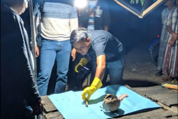 Warga HST digegerkan penemuan tengkorak