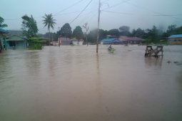 Legislatif dukung program revitalisasi sungai