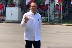 Zainudin Amali tersenyum lepas saat masuk Istana Presiden