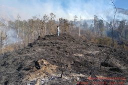 6.055 hektare hutan Gunung Rinjani terbakar