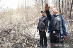 Bupati Banyuwangi minta bantuan "water bombing" atasi karhutla Gunung Ijen