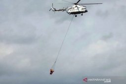 BNPB: Kecepatan angin halangi pemadaman karhutla Gunung Arjuno-Welirang