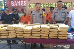 Polres Jembrana bongkar pengiriman 100 Kg ganja dari Jawa