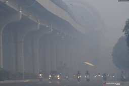 BPS ungkap kebakaran hutan dan lahan pengaruhi perekonomian Sumatera Selatan