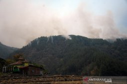 Kebakaran hutan pinus Gowa