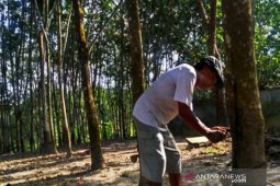 Indonesia membuka peluang kerja sama industri ban dengan China