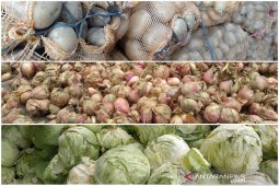 Harga sejumlah komoditi pertanian di Bener Meriah turun drastis