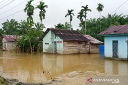 Banjir melanda tujuh kabupaten di Aceh, kerugian sementara lebih Rp1 miliar