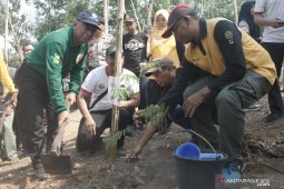 Desa Patikalain menjadi lokasi penanaman pohon serentak Daerah Aliran Sungai