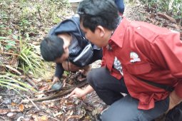 Komitmen Alasan Mentawir Ditetapkan Lokasi Pelaksanaan Proklim