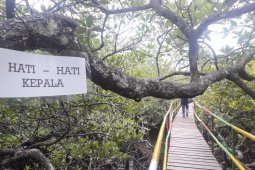 Semakin Menarik, Taman Wisata Mangrove Bakal Dilengkapi Menara Pantau