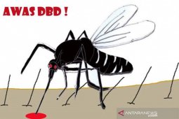 Awas DBD mengancam. Kemenkes catat 110.921 kasus DBD hingga Oktober 2019