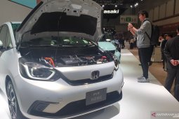 Honda "FIT" terbaru terinspirasi  anjing ras khas Jepang "Shiba Inu"