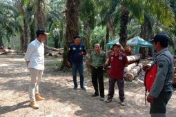 Dinas Kehutanan Kalsel cabut izin industri yang melakukan pembalakan liar