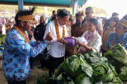 Bupati: infrastruktur jalan kebutuhan mendesak Pegunungan Arfak